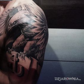 Tatuaż Orzeł na przedramieniu motyw: zwierzęta styl: realistyczne