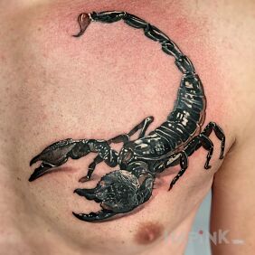 Tattoo Scorpio on the chest motif: colorful style: realistic
