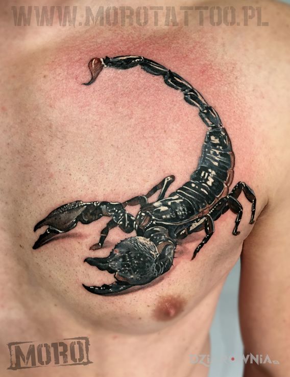 Tatuaż skorpion w motywie znaki zodiaku i stylu realistyczne na klatce
