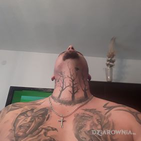 Tatuaż Drzewa i demon na klatce motyw: twarze styl: realistyczne