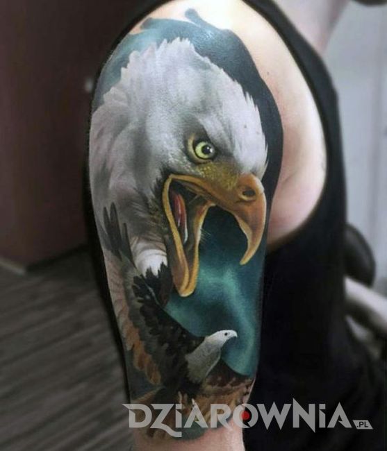 Tatuaż kolorowa głowa orła