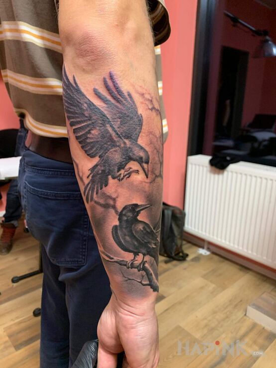 Tattoo Zaraz po zrobieniu - dwa kruki in black and gray motif and realistic style on the forearm