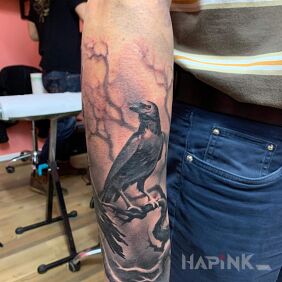 Tattoo Immediately after making - crow on the forearm motif: animals style: realistic
