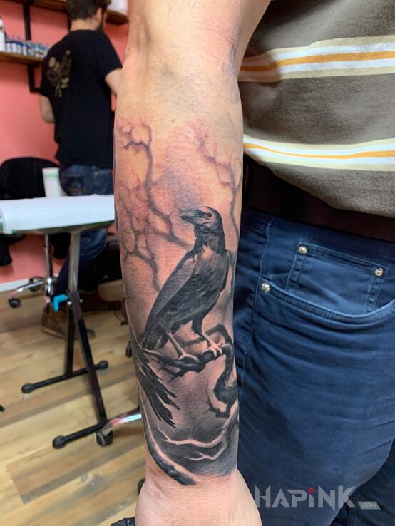 Tattoo Zaraz po zrobieniu - kruk in animals motif and realistic style on the forearm