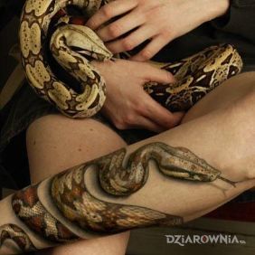 Tatuaż Realistyczny wąż na nodze motyw: zwierzęta