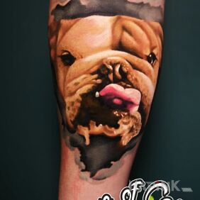 Tattoo English bulldog on the forearm motif: animals style: realistic