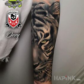 Tattoo Tiger on the forearm motif: animals style: realistic