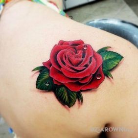 Tatuaż Róża na łopatkach motyw: kwiaty
