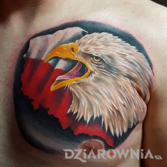 Kolorowy tatuaż orzeł i polskie barwy na klatce piersiowej mężczyzny