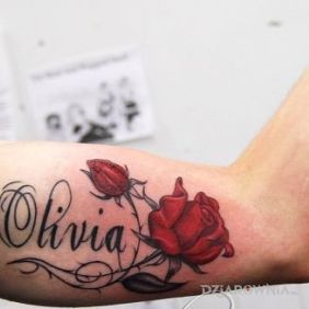 Tatuaż Olivia na ramieniu motyw: napisy