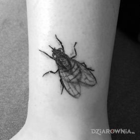 Tatuaż Muszka na nodze motyw: zwierzęta styl: realistyczne