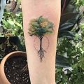 Wycena tatuażu - Drzewo, przedramię
