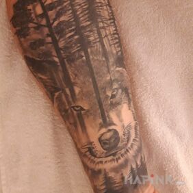 Tattoo Wolf On the arm motif: black and gray style: realistic