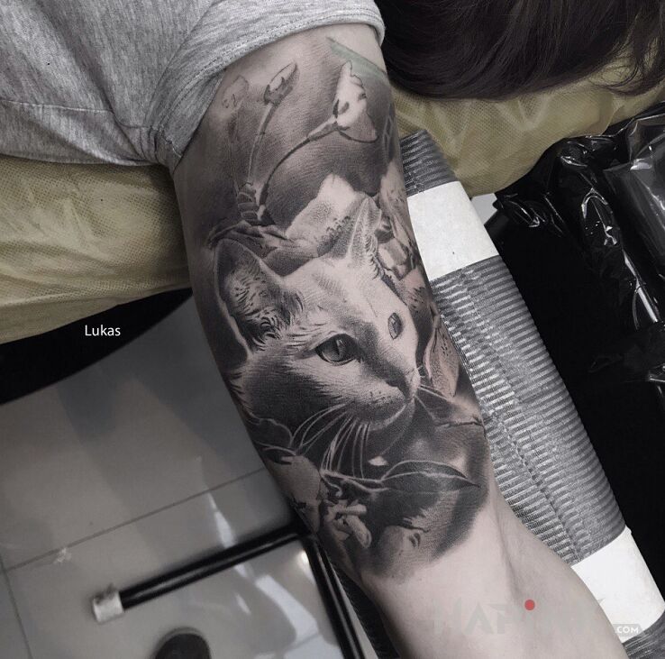 Tattoo Koteł in animals motif and realistic style on the upper arm
