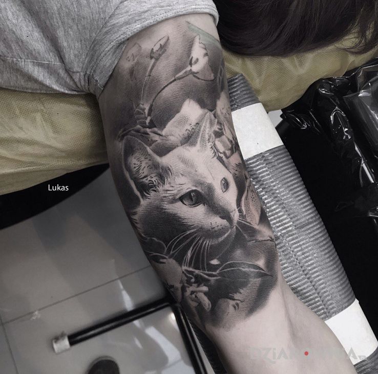 Tatuaż koteł w motywie czarno-szare i stylu realistyczne na ramieniu