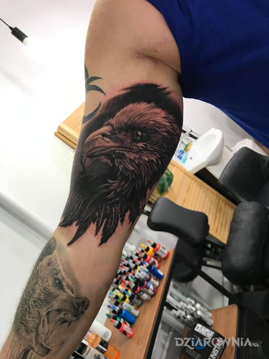 Tatuaż orzeł w motywie zwierzęta i stylu realistyczne na ramieniu