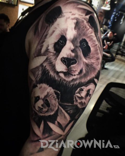 Tatuaż pandy na ramieniu