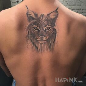 Tattoo Lynx on the back motif: animals