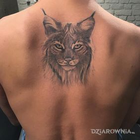 Tatuaż Ryś na plecach motyw: zwierzęta