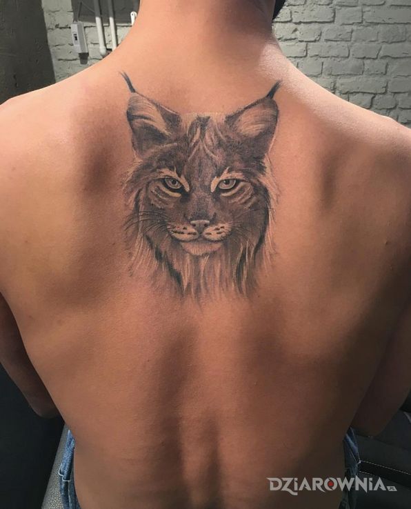 Tatuaż ryś w motywie zwierzęta na plecach