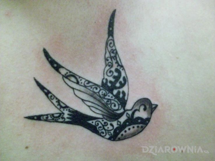 Tatuaż jaskółka w motywie zwierzęta na łopatkach