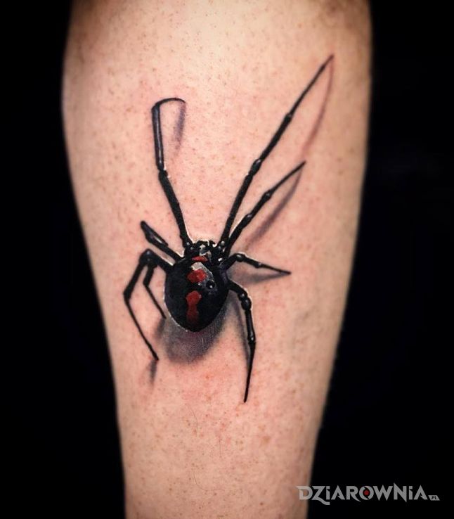 Tatuaż czarny pająk w motywie zwierzęta na łydce