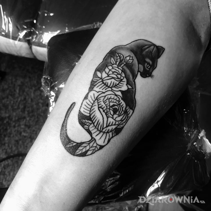 Tatuaż kotek d w motywie zwierzęta i stylu graficzne / ilustracyjne na przedramieniu
