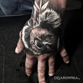 Tatuaż Koala na dłoni motyw: zwierzęta