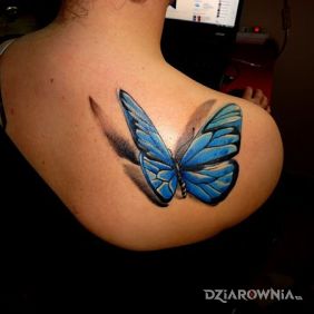 Tatuaż Motyl na łopatkach motyw: 3D