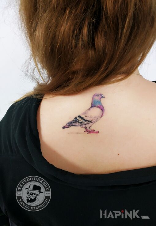 Tattoo Gołąb in animals motif and realistic style on the back