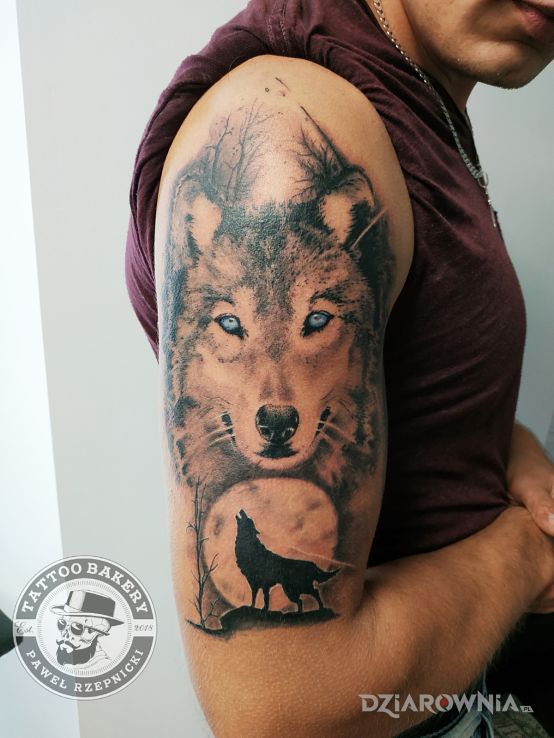 Tatuaż wilk w motywie czarno-szare i stylu realistyczne na ramieniu