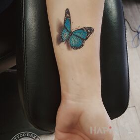 Tattoo Butterfly on the forearm motif: butterflies style: realistic