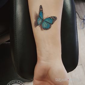 Tatuaż Motyl na przedramieniu motyw: kolorowe styl: realistyczne
