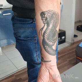 Tattoo Hose on the forearm motif: animals style: graphic / illustrative