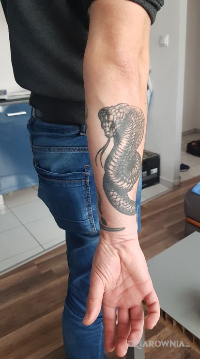Tatuaż wąż w motywie zwierzęta i stylu graficzne / ilustracyjne na przedramieniu