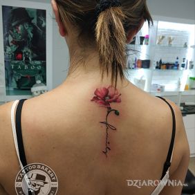 Tatuaż Mak na plecach motyw: napisy styl: graficzne / ilustracyjne