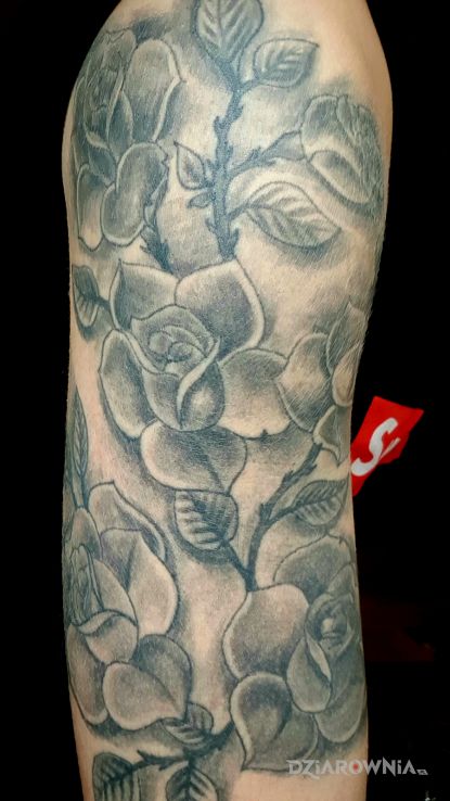 Tatuaż róże w motywie czarno-szare i stylu graficzne / ilustracyjne na ramieniu