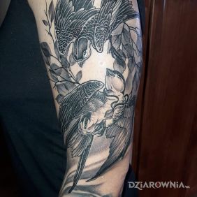 Tatuaż Jaskółki na ramieniu motyw: zwierzęta styl: graficzne / ilustracyjne