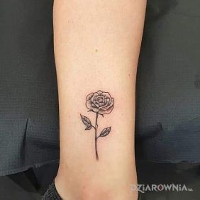 Tatuaż Róża przy kostce motyw: kwiaty styl: graficzne / ilustracyjne