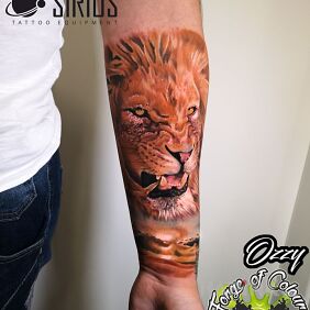 Tattoo Lion on the forearm motif: animals style: realistic