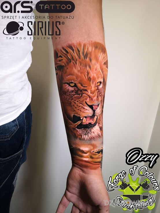 Tatuaż lew w motywie kolorowe i stylu realistyczne na przedramieniu