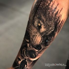 Tatuaż Groźne wilki na przedramieniu motyw: zwierzęta styl: realistyczne