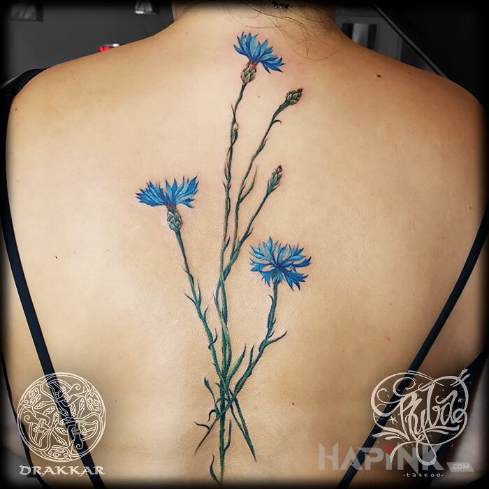 Tattoo Chabry in colorful motif and realistic style on the back