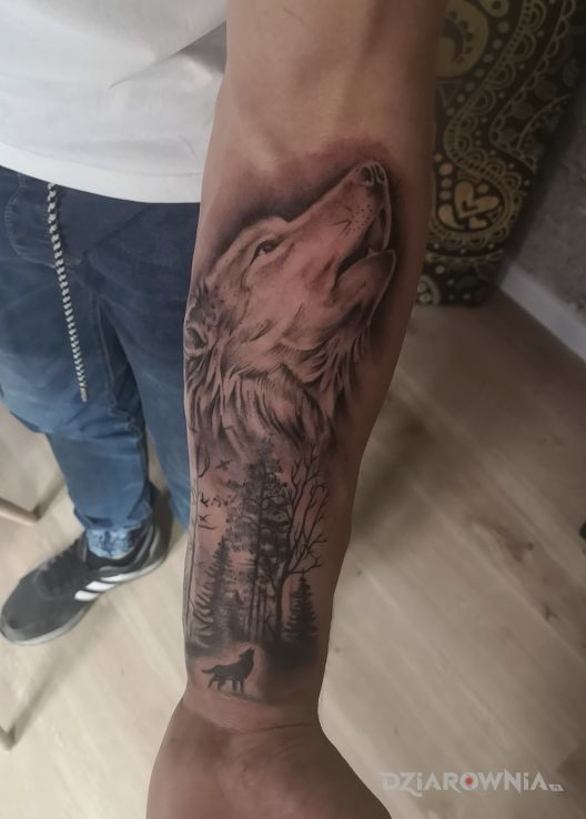 Tatuaż wilka las w motywie czarno-szare i stylu realistyczne na przedramieniu