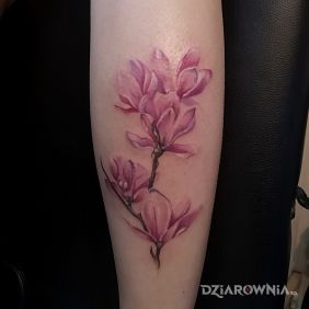 Tatuaż Magnolia na łydce motyw: kwiaty styl: realistyczne