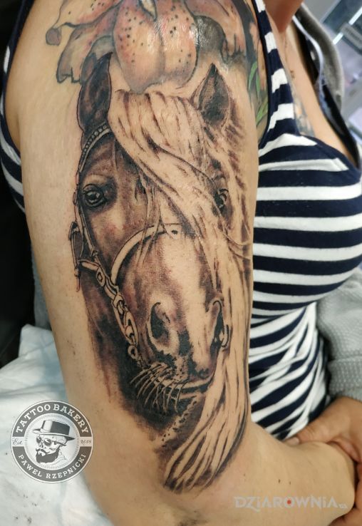 Tatuaż koń w motywie zwierzęta i stylu realistyczne na ramieniu