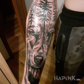 Tattoo A wolf with a forest on the forearm motif: black and gray style: realistic