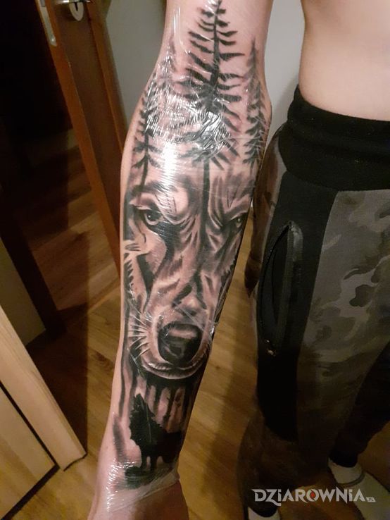 Tatuaż wilk z lasem w motywie zwierzęta i stylu realistyczne na przedramieniu