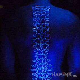 Tattoo Spine on the back motif: anatomical