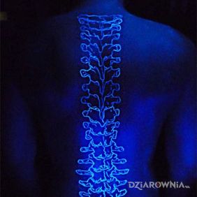 Tatuaż Kręgosłup na plecach motyw: anatomiczne